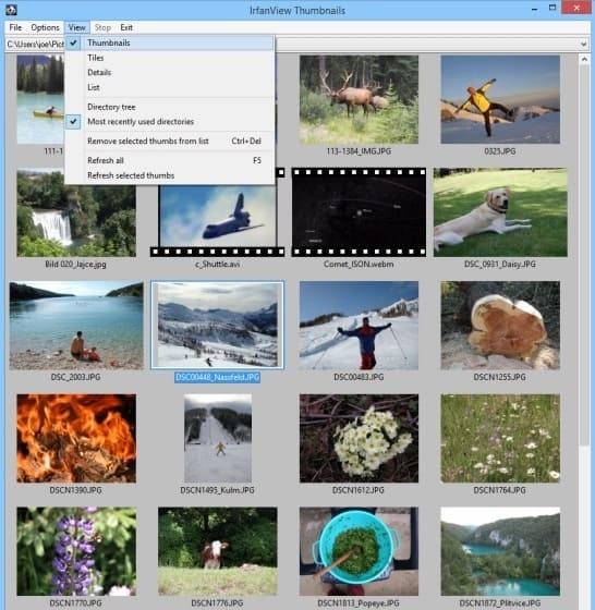 Google Picasa Alternative