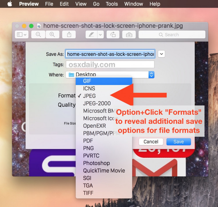 PDF on Mac