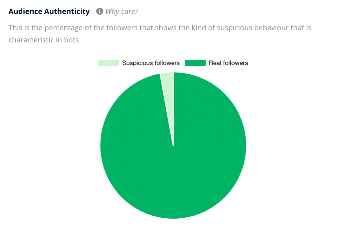 Successful Influencer Marketing Campaign