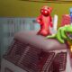 Is Gang Beasts Cross Platform