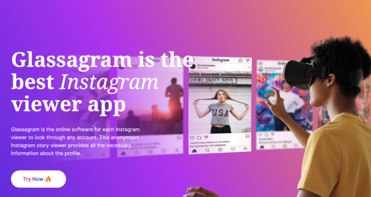 Instagram Story Viewer